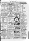 Irish Christian Advocate Friday 19 June 1891 Page 15