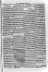 Irish Christian Advocate Friday 01 January 1892 Page 5
