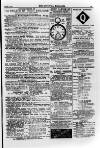 Irish Christian Advocate Friday 01 January 1892 Page 15