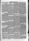 Irish Christian Advocate Friday 12 February 1892 Page 11