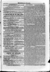 Irish Christian Advocate Friday 26 February 1892 Page 13