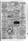 Irish Christian Advocate Friday 10 June 1892 Page 15