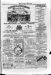 Irish Christian Advocate Friday 01 July 1892 Page 15