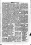 Irish Christian Advocate Friday 15 July 1892 Page 11