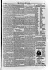 Irish Christian Advocate Friday 26 May 1893 Page 15