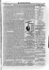 Irish Christian Advocate Friday 02 June 1893 Page 15