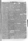 Irish Christian Advocate Friday 23 June 1893 Page 13