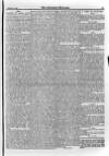 Irish Christian Advocate Friday 01 September 1893 Page 13
