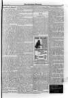 Irish Christian Advocate Friday 01 September 1893 Page 15