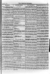 Irish Christian Advocate Friday 01 December 1893 Page 13