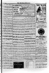 Irish Christian Advocate Friday 01 December 1893 Page 15