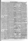 Irish Christian Advocate Friday 15 December 1893 Page 11