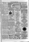 Irish Christian Advocate Friday 05 January 1894 Page 15
