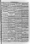 Irish Christian Advocate Friday 02 February 1894 Page 11
