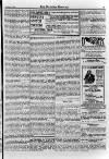 Irish Christian Advocate Friday 02 February 1894 Page 15