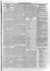 Irish Christian Advocate Friday 01 June 1894 Page 13