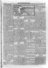 Irish Christian Advocate Friday 01 June 1894 Page 15