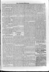 Irish Christian Advocate Friday 08 June 1894 Page 5