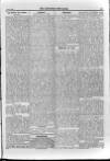 Irish Christian Advocate Friday 08 June 1894 Page 11