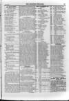 Irish Christian Advocate Friday 08 June 1894 Page 13