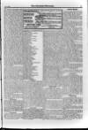 Irish Christian Advocate Friday 08 June 1894 Page 15