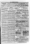 Irish Christian Advocate Friday 29 June 1894 Page 13