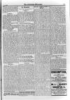 Irish Christian Advocate Friday 13 July 1894 Page 7