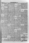 Irish Christian Advocate Friday 21 September 1894 Page 3