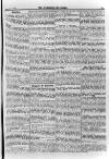 Irish Christian Advocate Friday 28 September 1894 Page 13