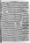 Irish Christian Advocate Friday 05 October 1894 Page 5