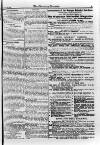 Irish Christian Advocate Friday 26 October 1894 Page 15