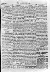 Irish Christian Advocate Friday 02 November 1894 Page 11