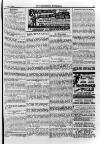 Irish Christian Advocate Friday 02 November 1894 Page 15