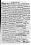 Irish Christian Advocate Friday 11 January 1895 Page 5