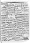 Irish Christian Advocate Friday 11 January 1895 Page 11