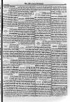 Irish Christian Advocate Friday 18 January 1895 Page 3