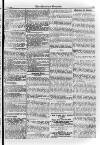 Irish Christian Advocate Friday 18 January 1895 Page 11