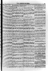 Irish Christian Advocate Friday 02 August 1895 Page 5