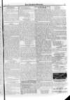 Irish Christian Advocate Friday 03 January 1896 Page 15