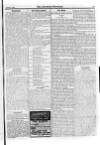 Irish Christian Advocate Friday 10 January 1896 Page 13