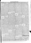 Irish Christian Advocate Friday 28 February 1896 Page 3