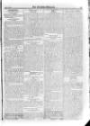 Irish Christian Advocate Friday 17 April 1896 Page 11