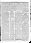 Irish Christian Advocate Friday 17 April 1896 Page 13