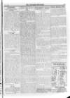 Irish Christian Advocate Friday 01 May 1896 Page 11