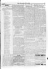 Irish Christian Advocate Friday 08 May 1896 Page 13