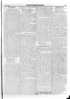 Irish Christian Advocate Friday 29 May 1896 Page 5