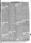 Irish Christian Advocate Friday 04 September 1896 Page 11