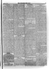 Irish Christian Advocate Friday 04 September 1896 Page 15