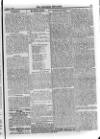 Irish Christian Advocate Friday 16 October 1896 Page 13