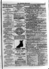 Irish Christian Advocate Friday 16 October 1896 Page 15